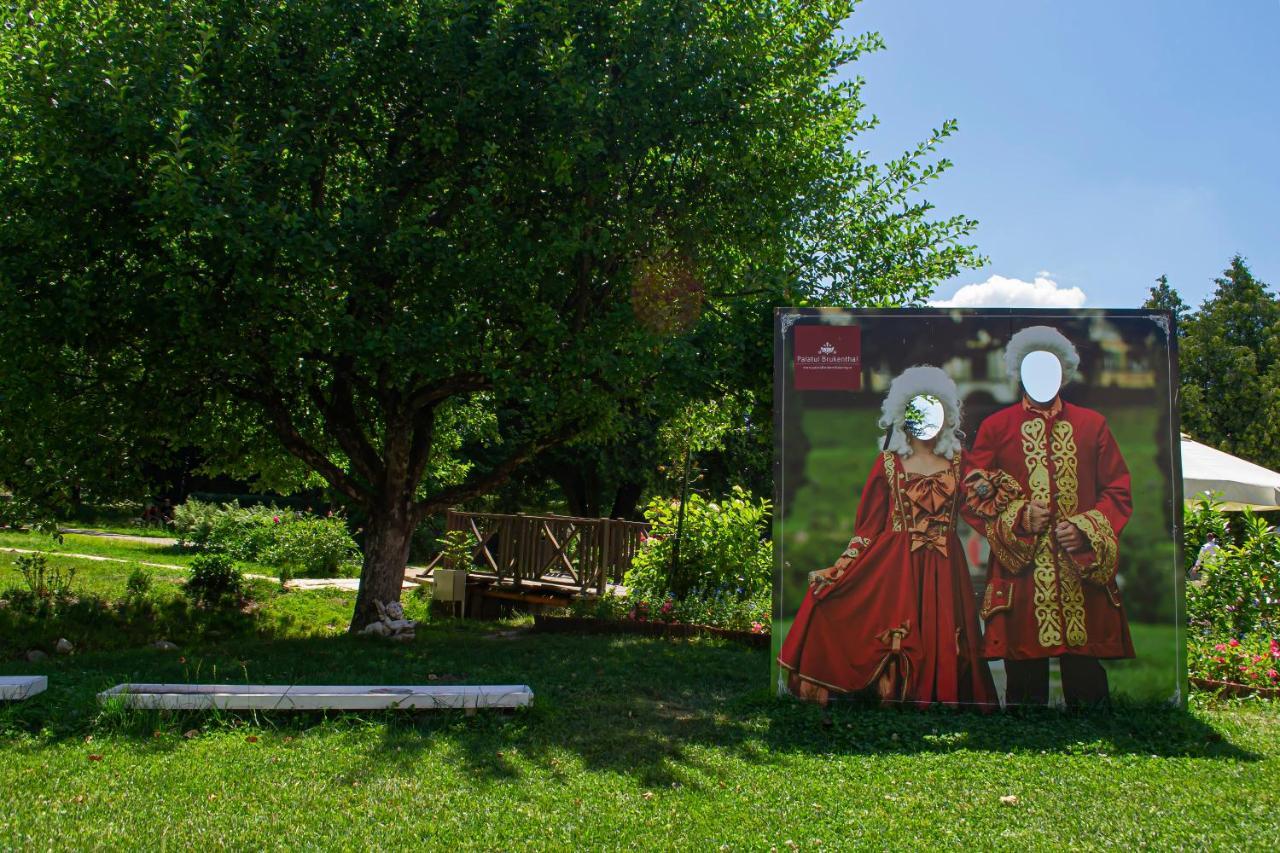 Vila Rozalia Garden Gate Avrig Dış mekan fotoğraf